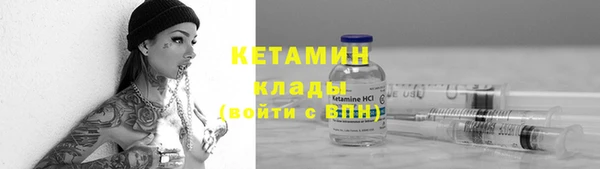 твердый Богданович