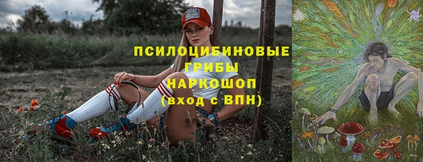 мескалин Богородицк