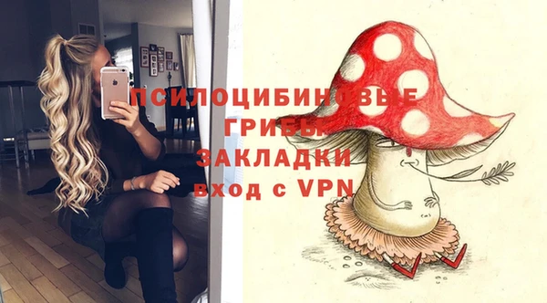 мескалин Богородицк