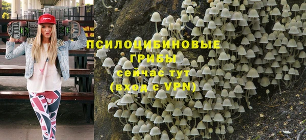 мескалин Богородицк